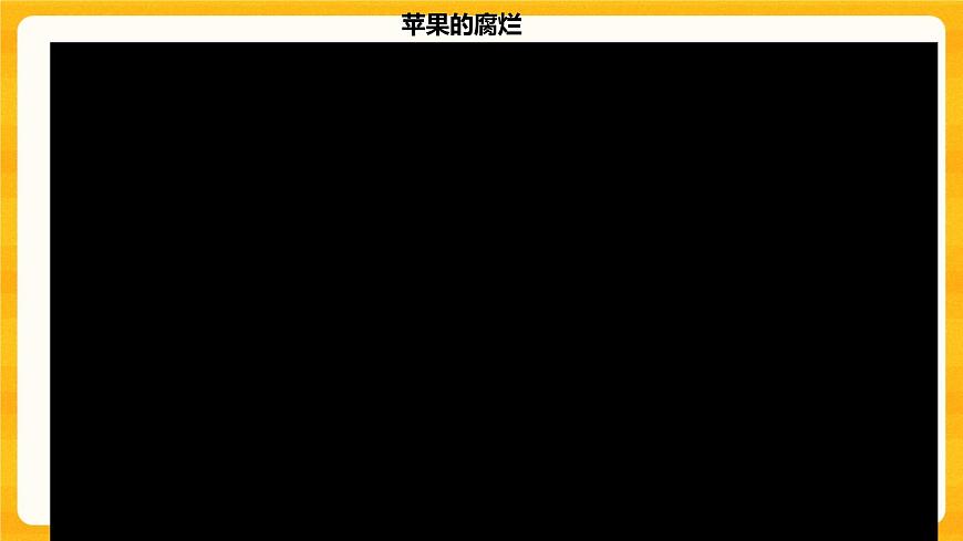 4.微生物的“功”與“過” 課件第4頁(yè)