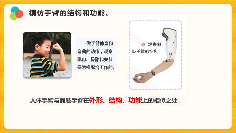 8我们来仿生 课件+视频02