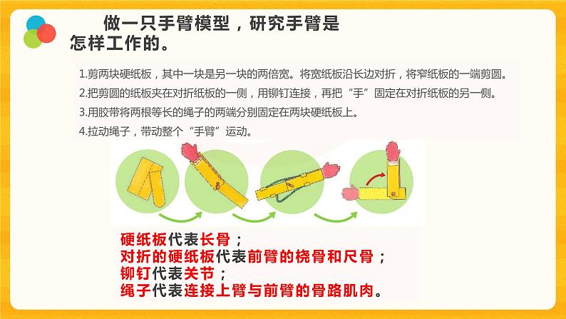 8我们来仿生 课件+视频05
