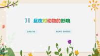 科學(xué)五年級(jí)下冊(cè)11 晝夜對(duì)動(dòng)物的影響完美版課件ppt