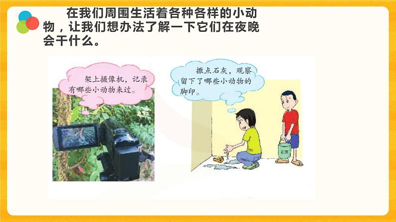 11 昼夜对动物的影响 课件第3页
