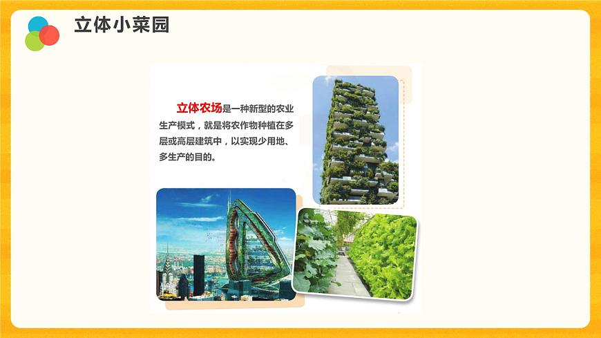 立體小菜園 課件第3頁