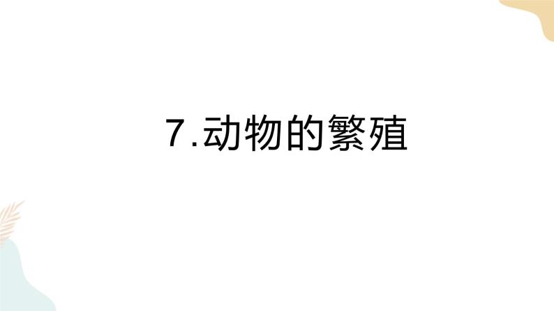 教科版 三年级下册 科学 2.7动物的繁殖（课件 +视频）01