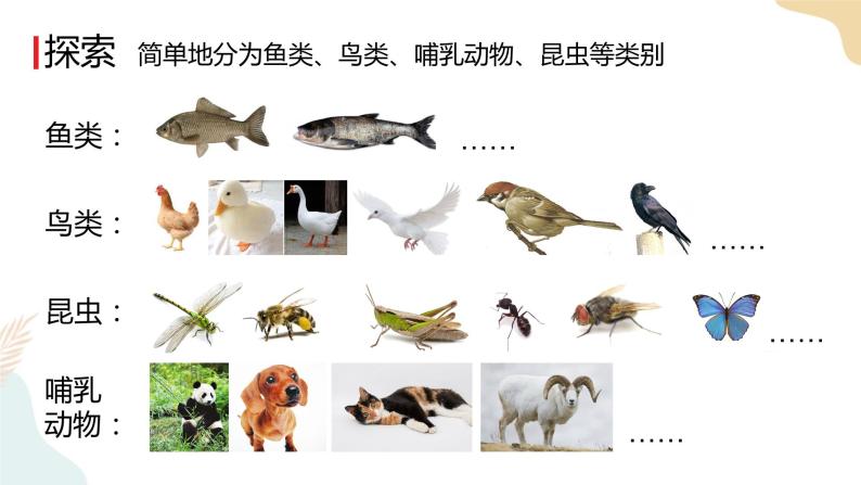 教科版 三年级下册 科学 2.7动物的繁殖（课件 +视频）07