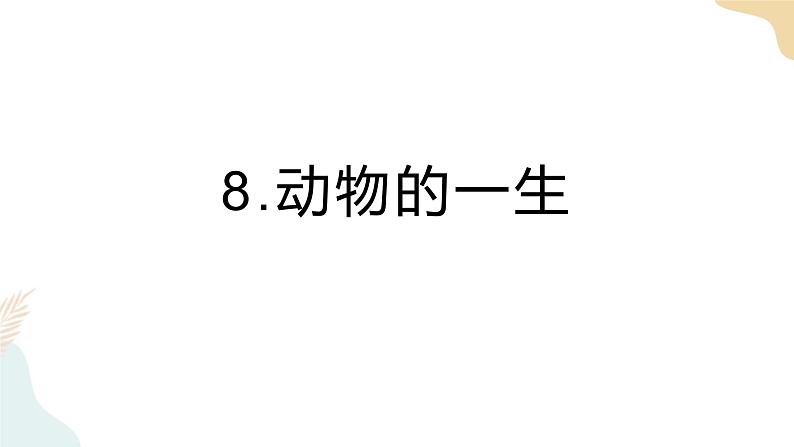 第8课时 动物的一生.pptx第1页