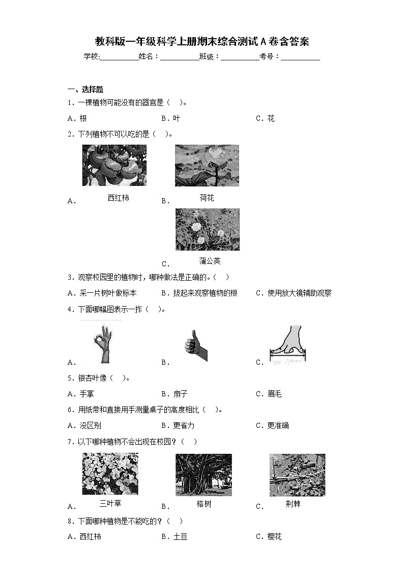 教科版一年级科学上册期末综合测试A卷含答案01