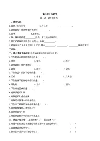 科学二年级下册4 磁铁的吸力精练