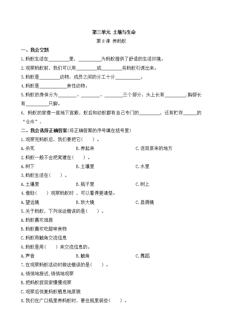 苏教版科学二年级下册 第8课 养蚂蚁 同步练习(含答案)第1页