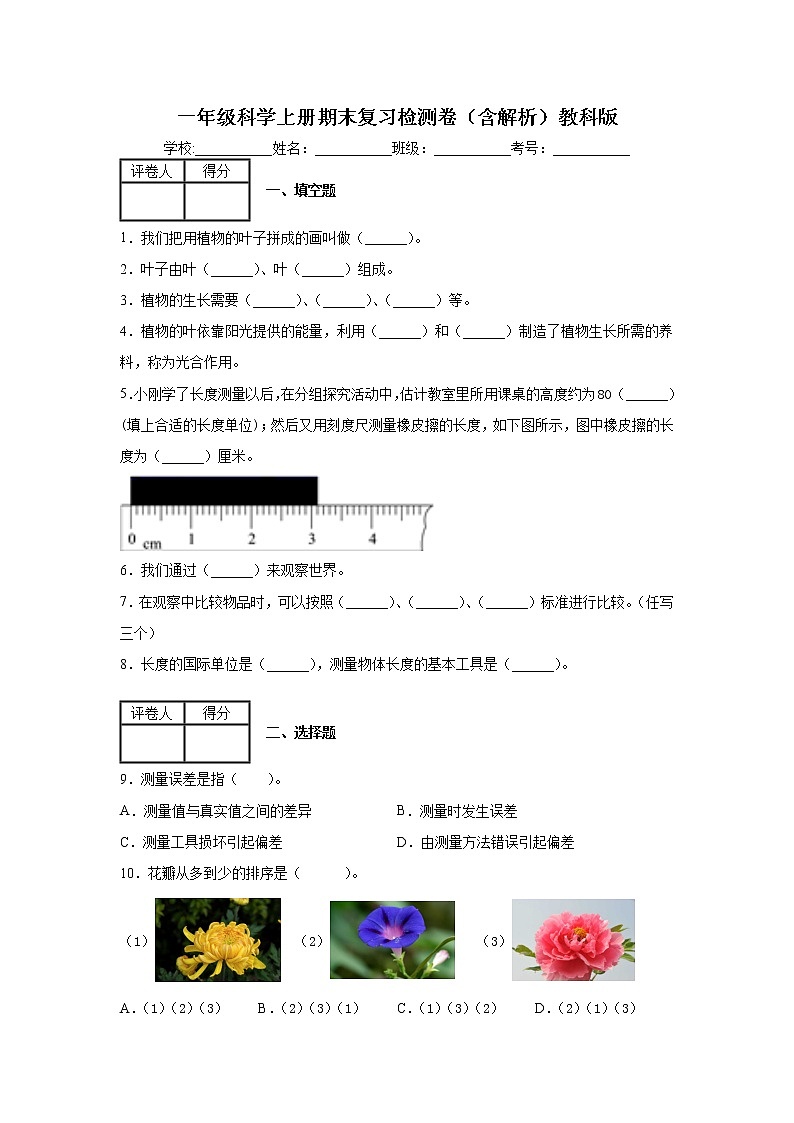 一年级科学上册试题-期末复习检测卷(含解析)教科版(2017)01