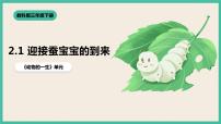 科學(xué)三年級(jí)下冊(cè)1.迎接蠶寶寶的到來(lái)完整版ppt課件
