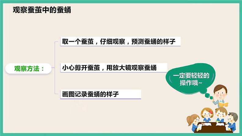 2.4《蚕变了新模样》课件 教科版三下科学第6页