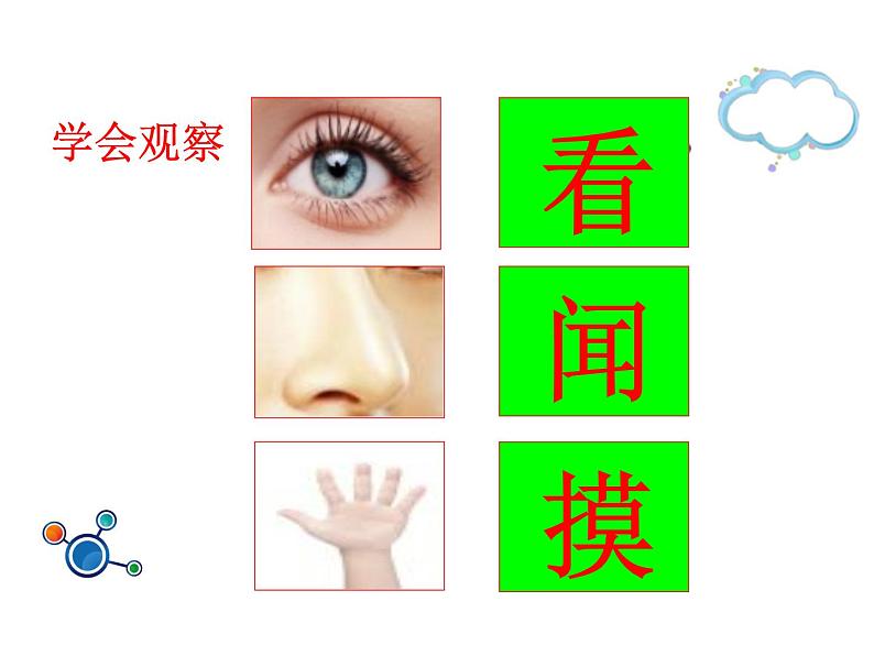 小学科学教科版一年级下册《发现物体的特征》 课件第7页