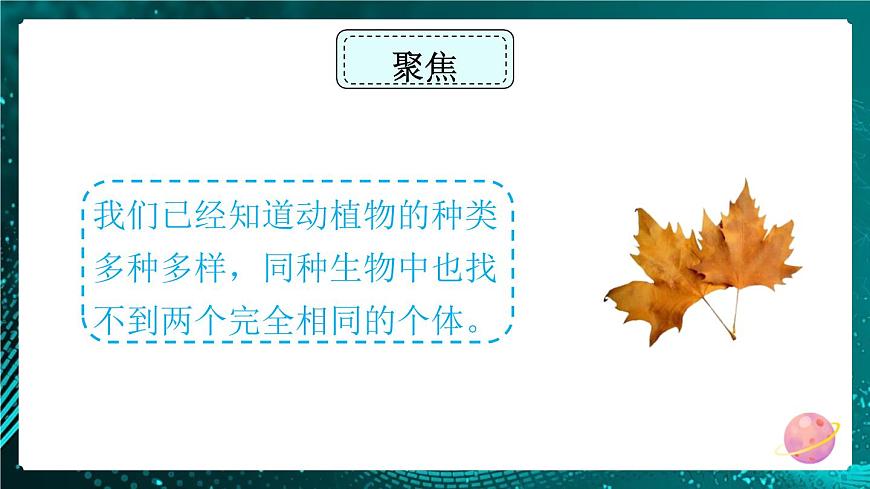 新教科版科學(xué)六下 5.相貌各異的我們 PPT課件第3頁(yè)