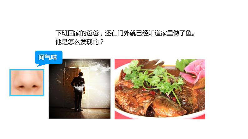 小学科学教科版一年级下册3发现物体的特征课件PPT第3页