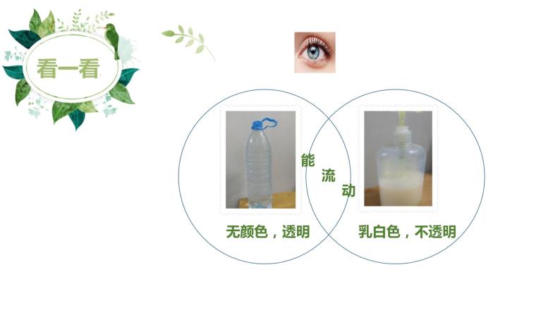 小学科学教科版一年级下册3观察一瓶水课件PPT04