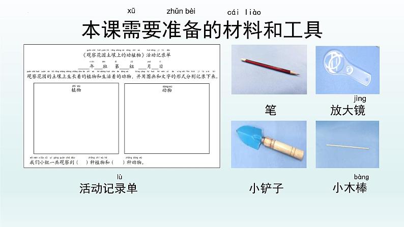 教科版二年级科学上册课件1土壤——动植物的乐园第2页