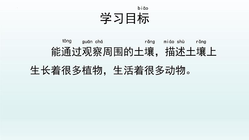 教科版二年级科学上册课件1土壤——动植物的乐园第3页