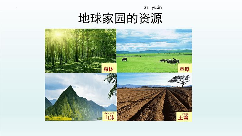 教科版二年级科学上册课件1土壤——动植物的乐园第4页