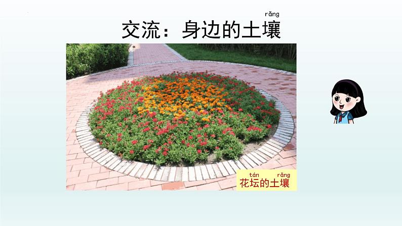 教科版二年级科学上册课件1土壤——动植物的乐园第5页