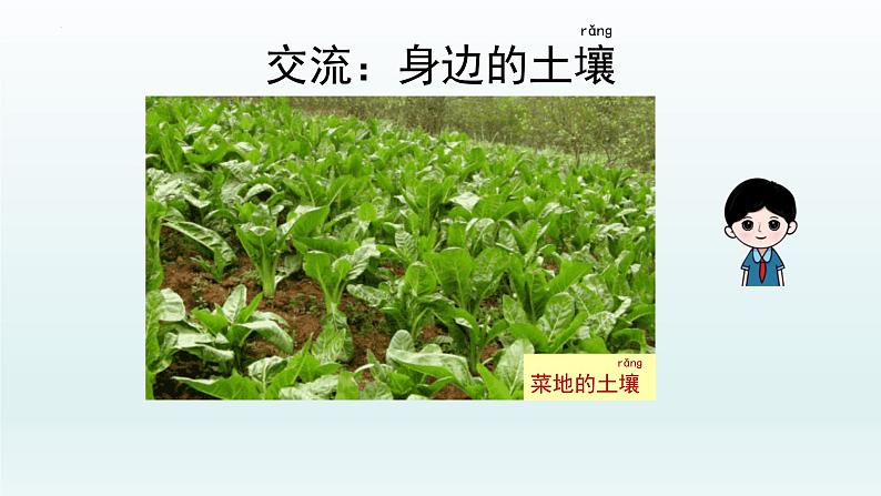 教科版二年级科学上册课件1土壤——动植物的乐园第7页
