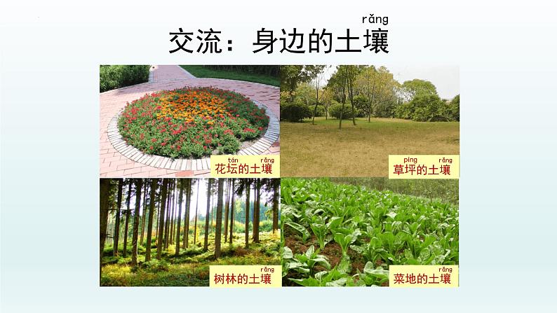 教科版二年级科学上册课件1土壤——动植物的乐园第8页