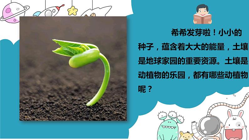 教科版二年级科学上册课件2土壤——动植物的乐园第3页