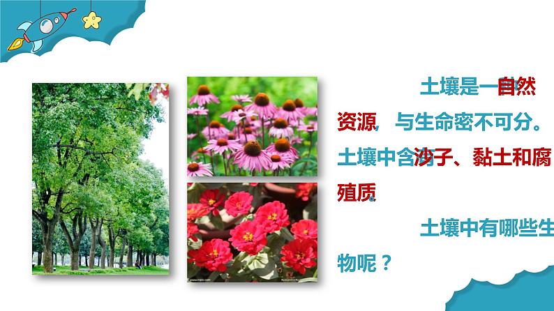教科版二年级科学上册课件2土壤——动植物的乐园第7页