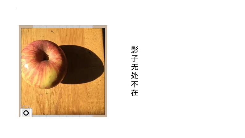 1、影子(课件)三年级下册科学青岛版04
