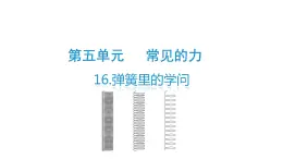 16、弹簧里的学问（课件）-2021-2022学年科学三年级下册