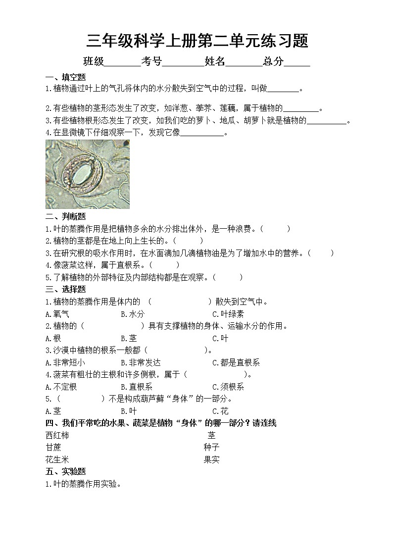 小学科学青岛版六三制三年级上册第二单元《植物的生活》练习题2(附参考答案)(2022秋)第1页