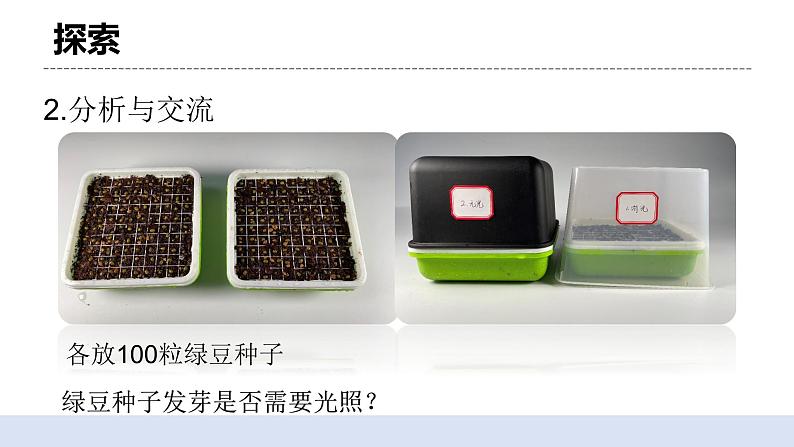 1.2 比较种子发芽实验 课件第7页