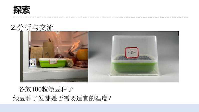 1.2 比较种子发芽实验 课件第8页