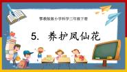 小学科学人教鄂教版 (2017)三年级下册5 养护凤仙花完整版ppt课件