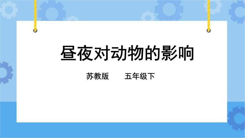 3.11 昼夜对动物的影响 课件+教案+试题+素材02