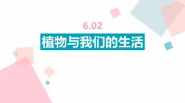 [冀人版]三年级下册科学1.3植物与我们的生活教学课件