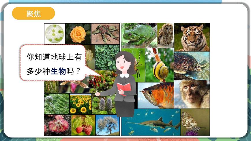 2.1《校園生物大搜索》課件 第3頁