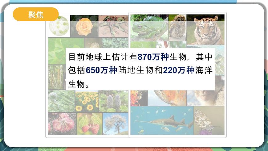 2.1《校園生物大搜索》課件 第4頁