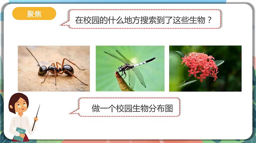 2.2《制作校園生物分布圖》課件 第3頁