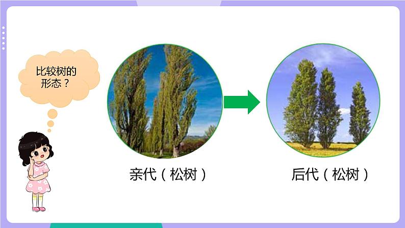 第3课时 形形色色的植物第6页