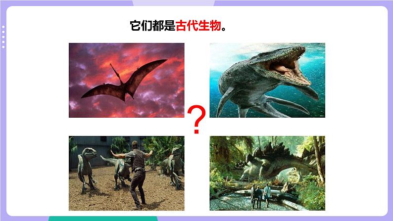 第6课时 古代生物的多样性第3页