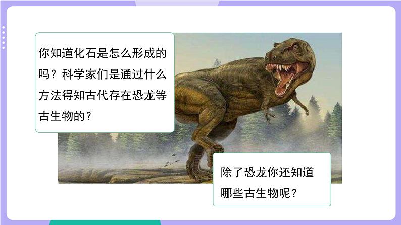 第6课时 古代生物的多样性第5页