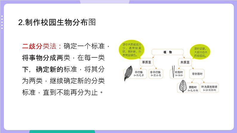 教科版科学六下 第二单元 生物的多样性(单元复习课件)06