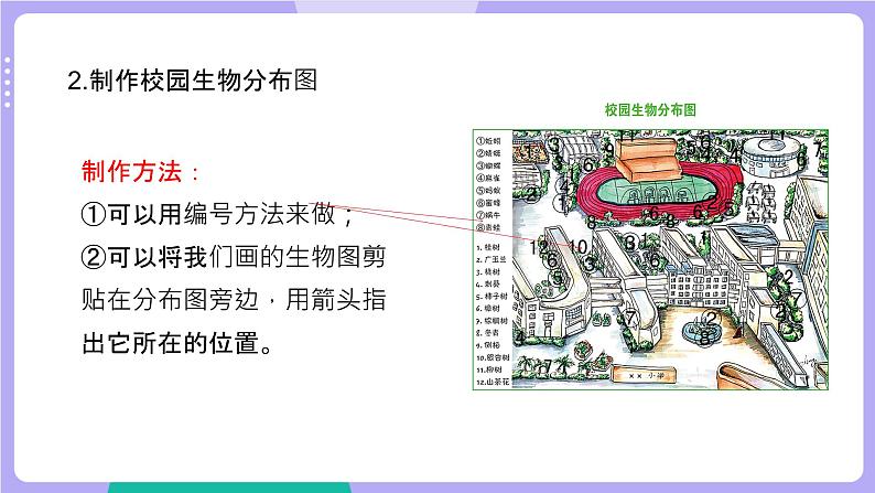 教科版科学六下 第二单元 生物的多样性(单元复习课件)07