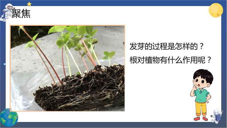1.3 种子长出了根(课件+教案+视频素材)03