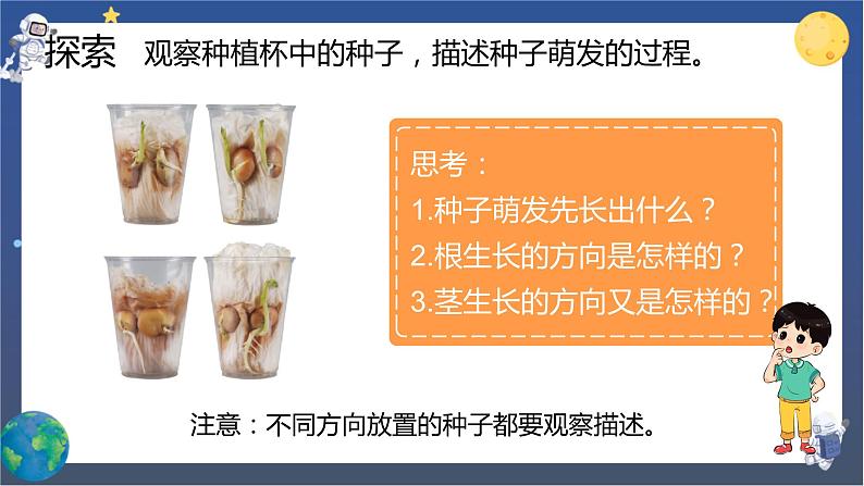 1.3 种子长出了根(课件+教案+视频素材)05