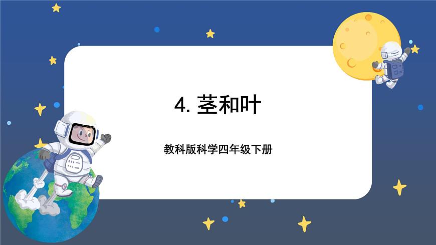 第4課時 莖和葉第1頁