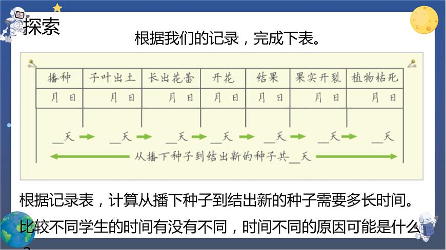 第8課時(shí) 鳳仙花的一生第6頁