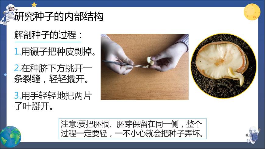 教科版科學(xué)四下  第一單元復(fù)習(xí)課件第3頁