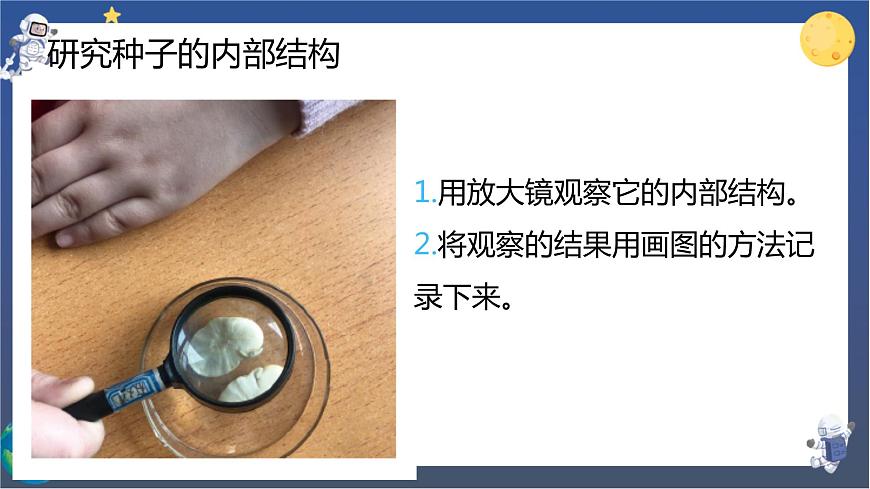 教科版科學(xué)四下  第一單元復(fù)習(xí)課件第4頁