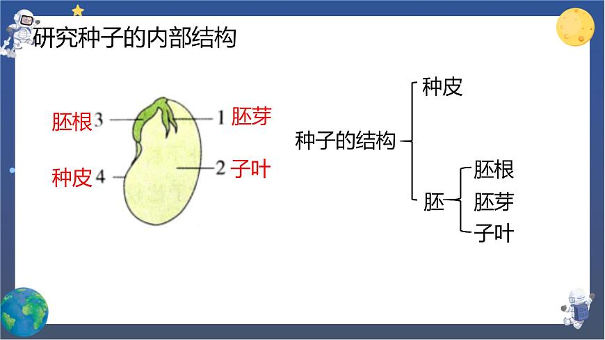 教科版科學(xué)四下  第一單元復(fù)習(xí)課件第5頁